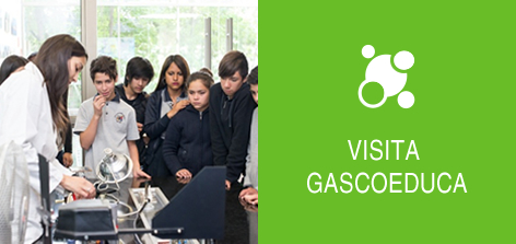 visita gasco educa